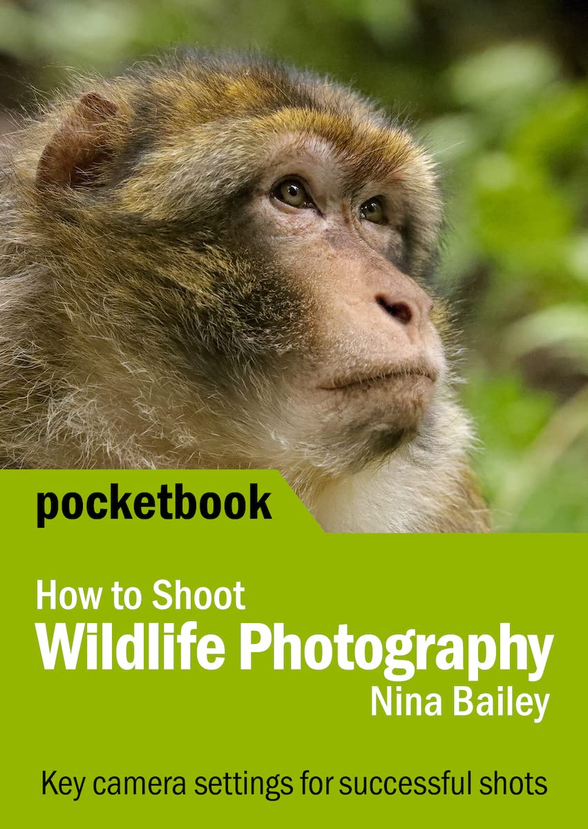 How to Shoot Wildlife Photography Pocketbook: Canon camera settings for successful shots