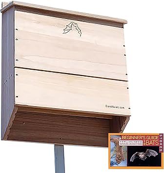 BestNest Five-Celled Bat House Kit with Pole, 500 Bats