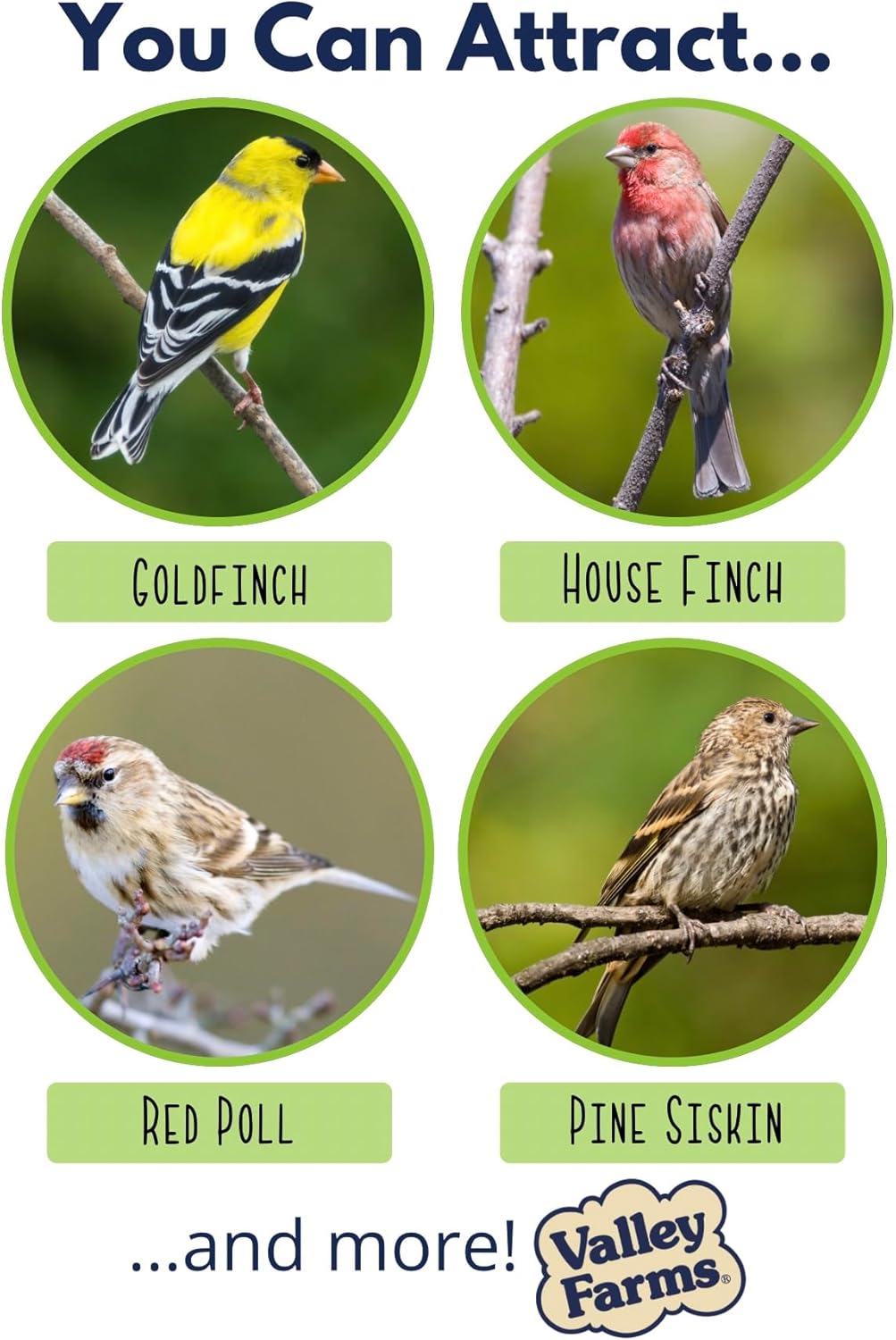 Valley Farms Nyjer Seed Wild Bird Food (15 LB) for Outside Feeders, Thistle Bird Seed for Outside Feeders, Great for Wild Finches