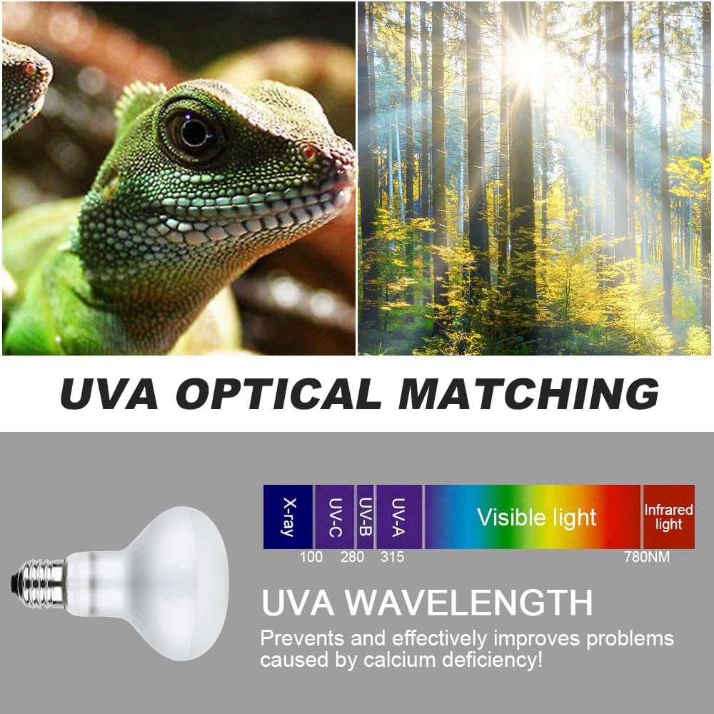 Lotvic 3 Pack 100W Reptile Heat Lamp, E27 Heat Lamp Bulb for Reptiles Daylight Basking Spot Lamp, Tortoise Heat Lamp Bulb - Image 4