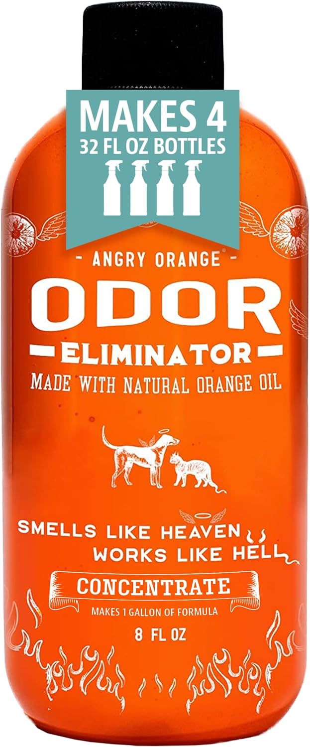 Angry Orange Odor Eliminator 8oz, Citrus Scented, Dog & Cat Urine