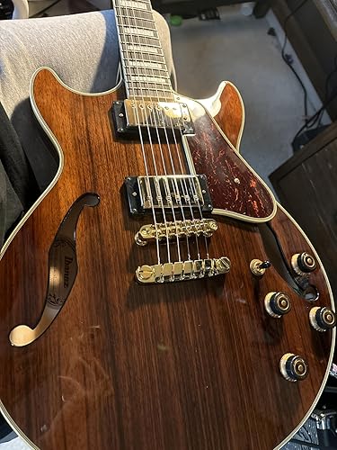 Amazon | Ibanez アイバニーズ Artcoreシリーズ スモールサイズ セミ