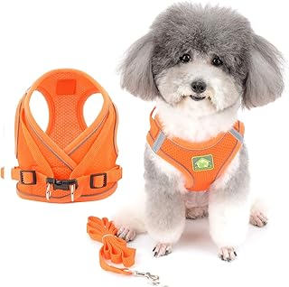 Zunea No Pull Dog Harness and Leash Set for Small Dogs Adjustable Reflective Puppy Vest Harnesses Soft Mesh Step-in Pet Cat Harness Escape Proof for Walking, Bright Colors for Dogs Girl Boy Orange S