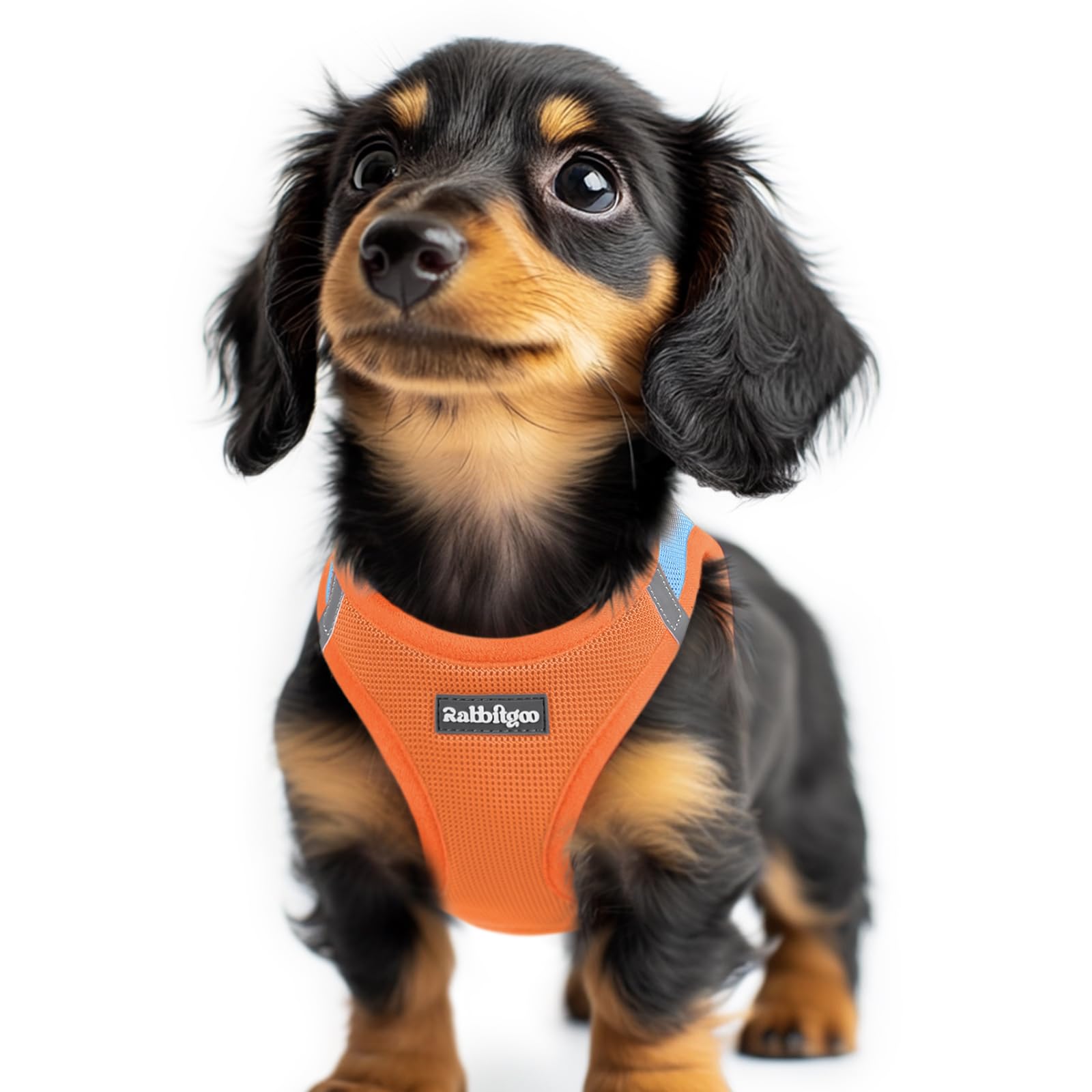 rabbitgoo Hundegeschirr kleine Hunde, Step-in Soft Mesh Hundegeschirr mit Sicherheitsverschluss, atmungsaktives und reflektierendes Welpengeschirr für kleine Hunde