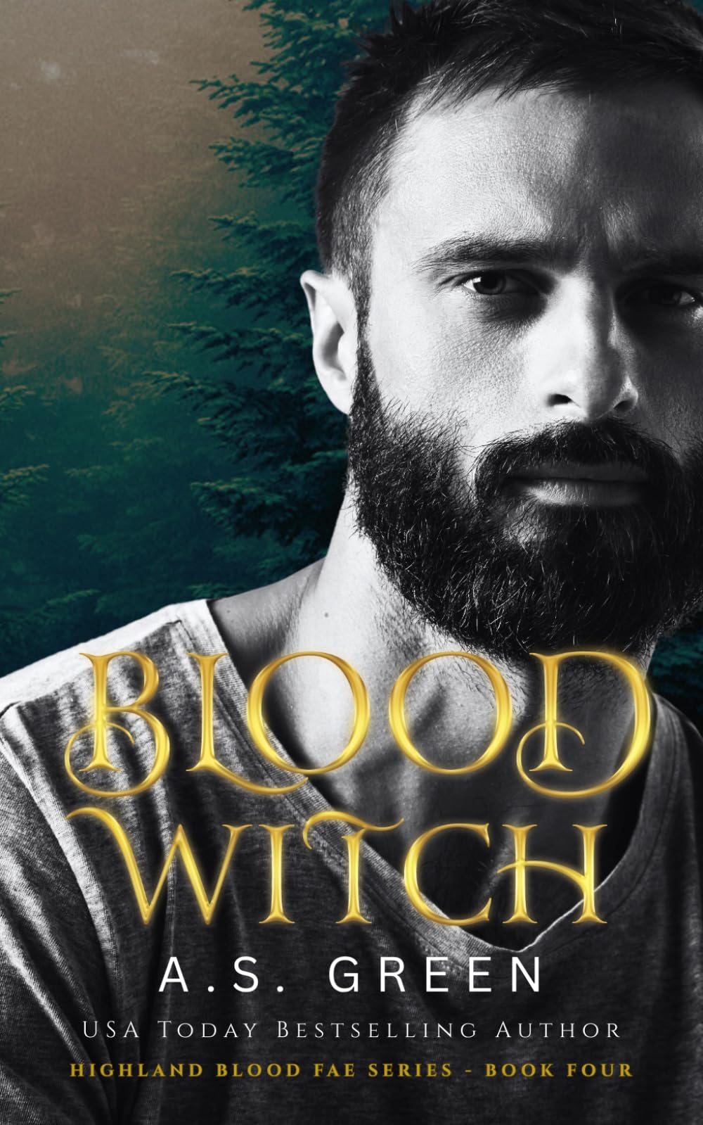 Blood Witch: a hot vampire fae romance (Highland Blood Fae)