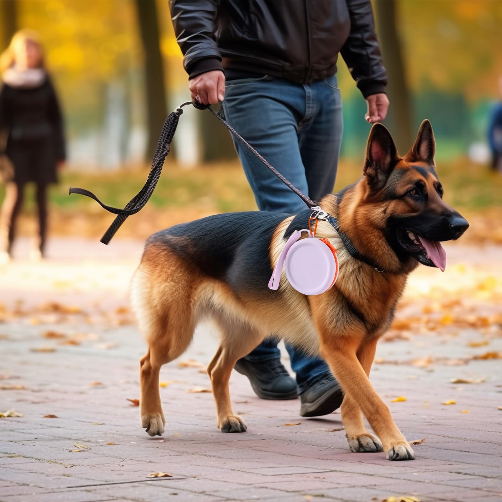 BMYUK Silicone Dog Treat Pouch Small Bag Pet Training Snack Pouch Perfect for Training & Walking Moisture-proof Zipper Design Easy to Clean - Image 4