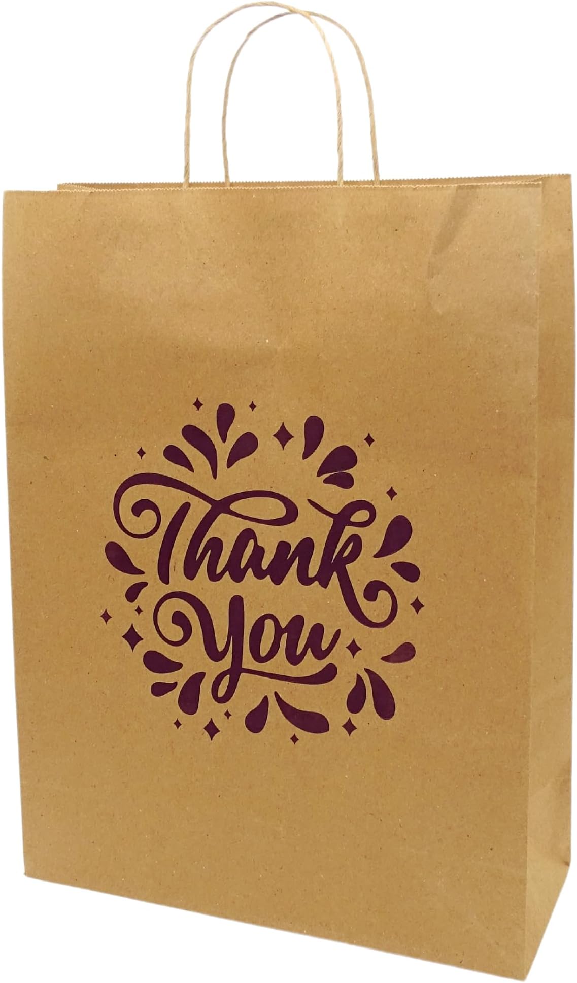 RanGit Bhumi Thank You Gift Bags Large Brown Paper Bags 10 pcs