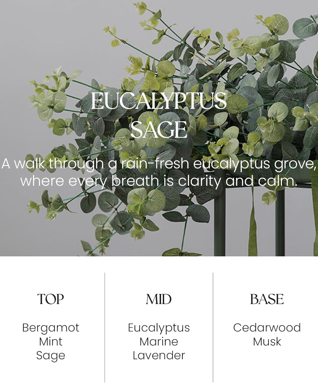 M&SENSE 2 Pack Large Reed Diffuser Set - Pine Forest & Eucalyptus Home Fragrance Non-Toxic Natural Essential Oil Diffuser with Sticks, Air Freshner Gifts for Home Fragrance Decor