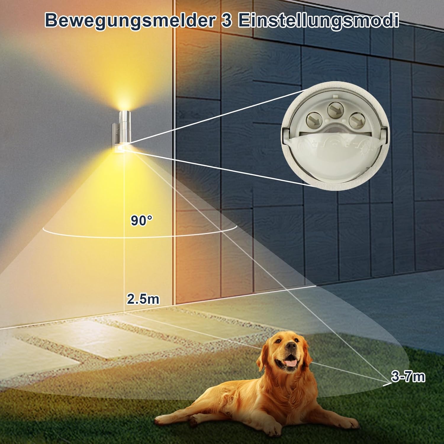 Diagram showing the motion sensor's 90-degree detection angle and 5-meter range