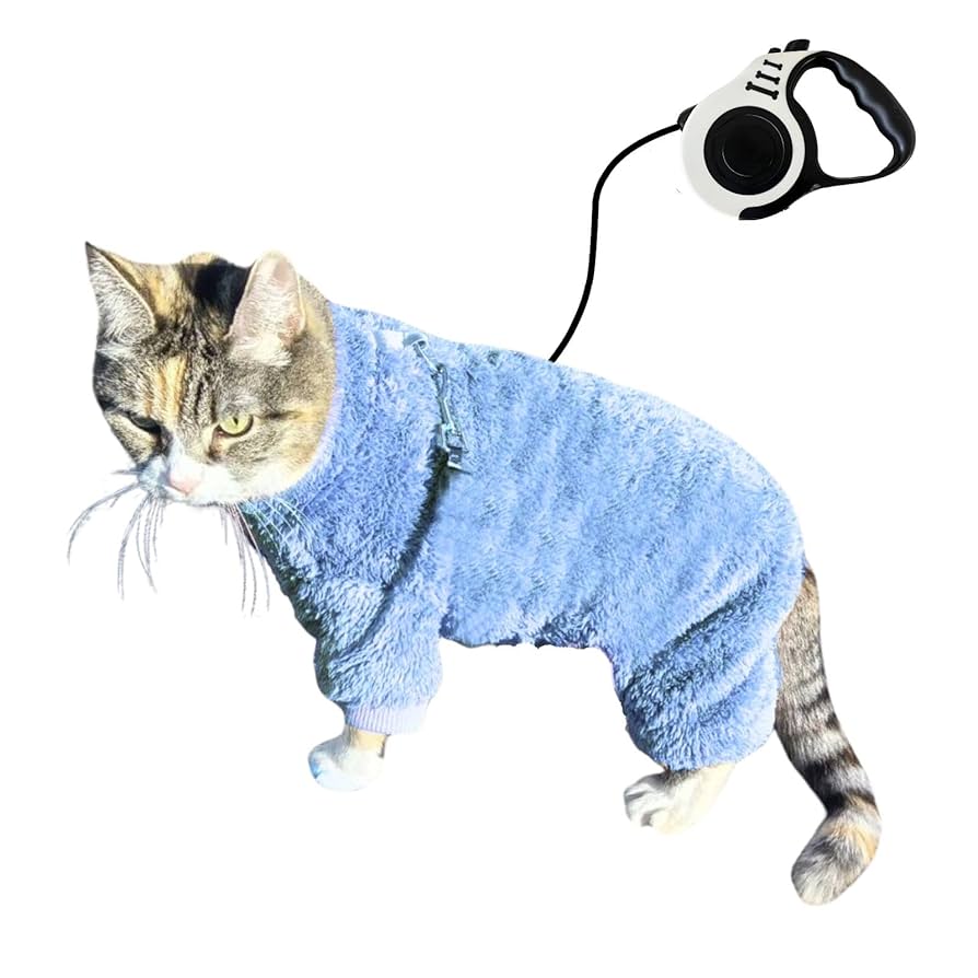 りーにゃん LILI et NENE SENGER（ゼンガー） SENGER Animal Baby Cat