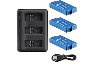 MAX Replacement Battery and Charger