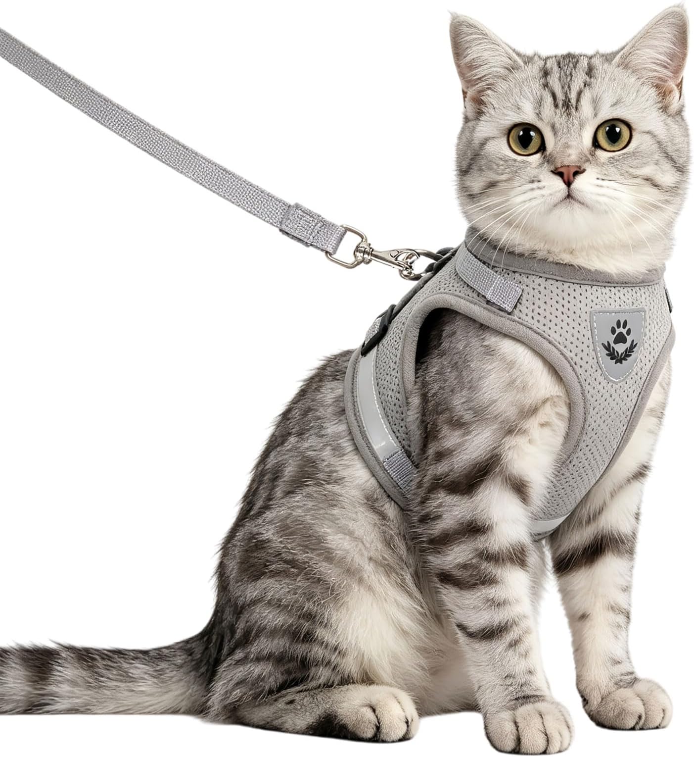 Soft Mesh No Pull Cat Harness and Lead Set for Walking, Escape Proof Kitten Vest Harnesses for Small Dogs/Cats/Animals Rabbit, Cool Cat Dog Collar with Leash (Grey, Medium)