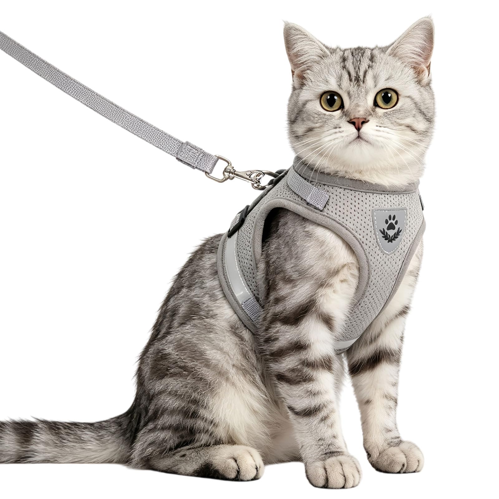 Anlitent Soft Mesh No Pull Cat Harness and Lead Set for Walking, Escape Proof Kitten Vest Harnesses for Small Dogs/Cats/Animals Rabbit, Cool Cat Dog Collar with Leash (Grey, X-Small)