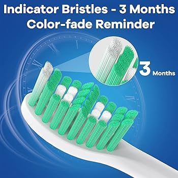 Thee Headcoats 7インチセット Amazon.com : BrightDeal Toothbrush Heads for Philips Sonicare