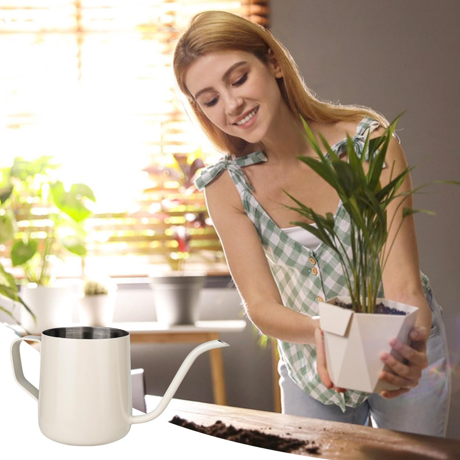 Kleine Edelstahl Giekanne Mit Langem Auslauf  250 Ml Fr Zimmerpflanzen