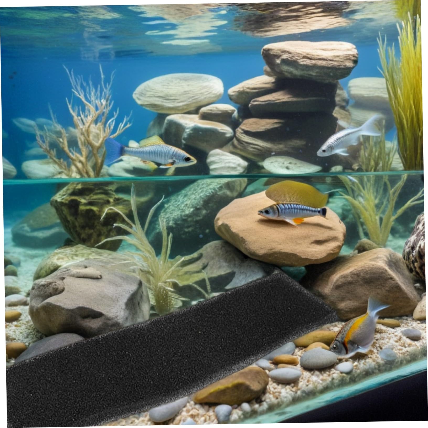 BESTonZON 8 Stück Aquarium Filterschwamm Zuschneidbare Filterpads für Süß Meerwasser Teiche Leiser Ersatzfilter Schwamm für Fischbecken Biologische Filtermedien