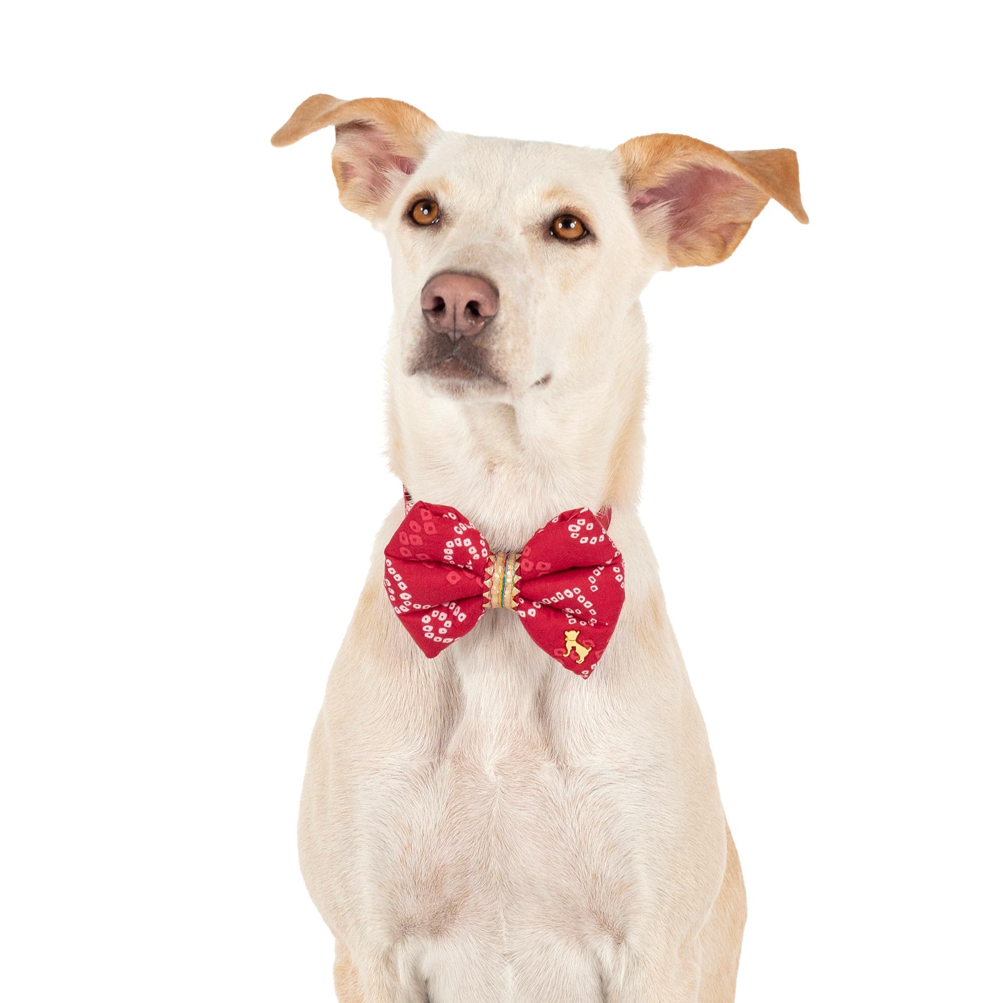 See full amazon price history chart for HUFT Bandhani Breeze Bowtie with Strap for Dogs - Red HUFT Bandhani Breeze Bowtie with Strap for Dogs - Red (B0DBVVFMP7) Amazon Price History, Amazon Price Tracker