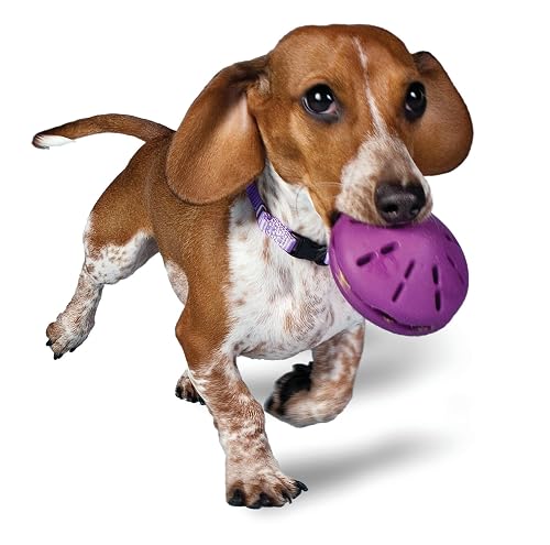 Busy Buddy Twist 'n Treat