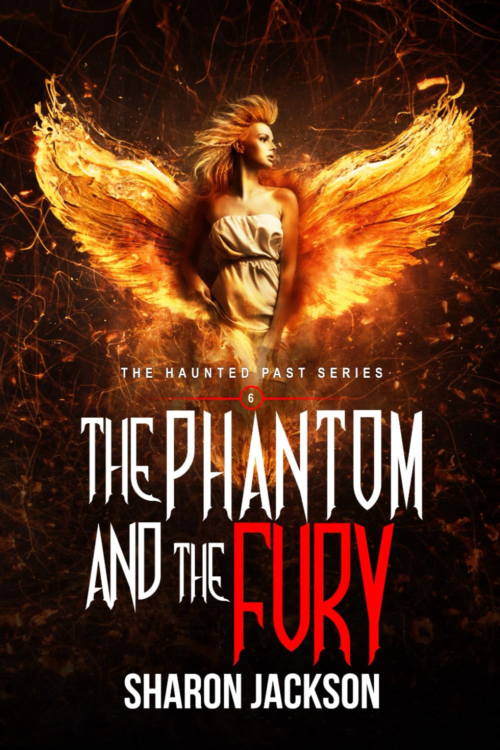 The Phantom and the Fury: (The Haunted Past Series Book 6)
