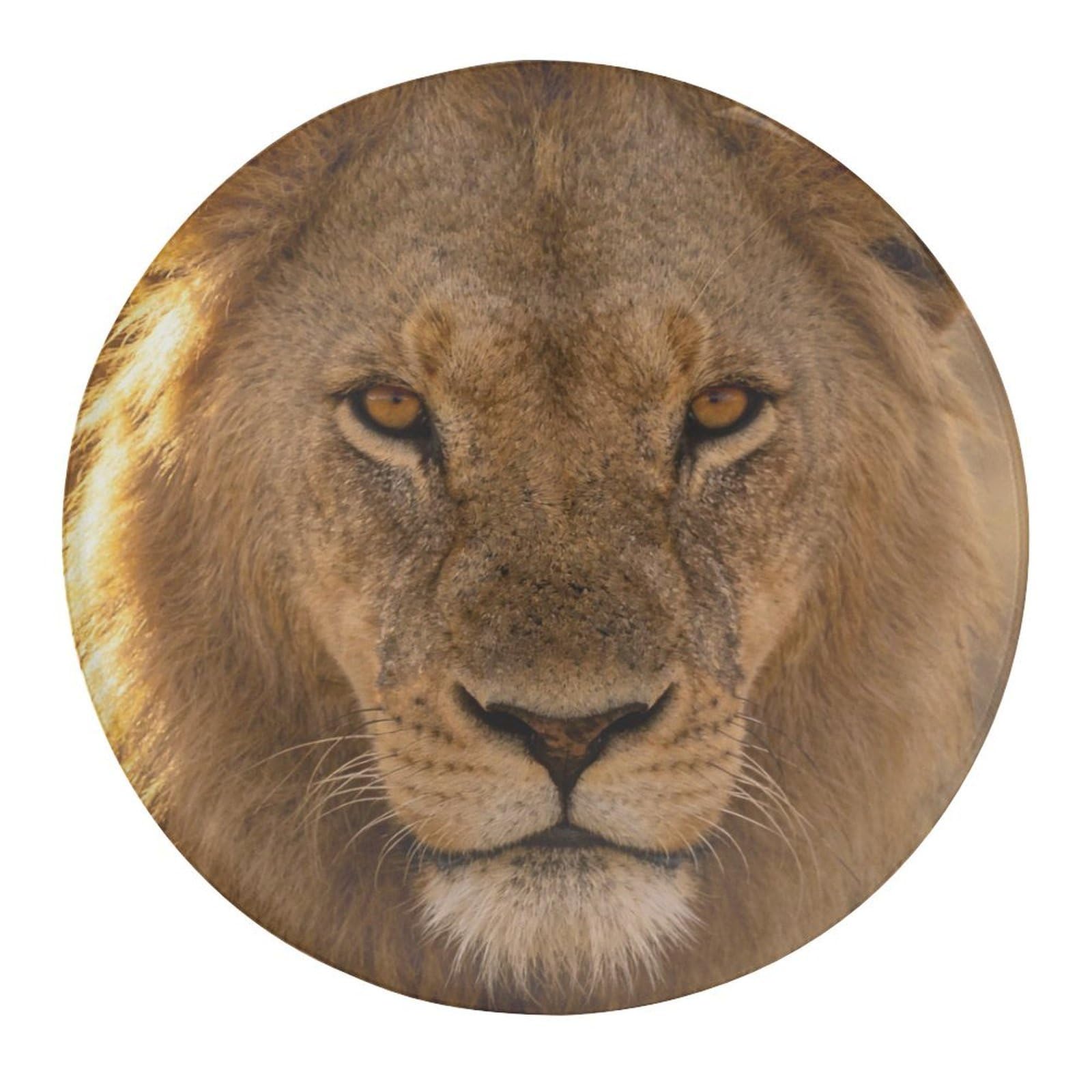 Lion Refrigerator Magnet Fridge Magnet2 PCS