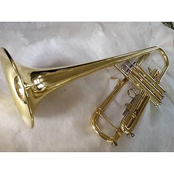 Amazon.com: Trumpet Set Professional Gold Trumpet Instrument