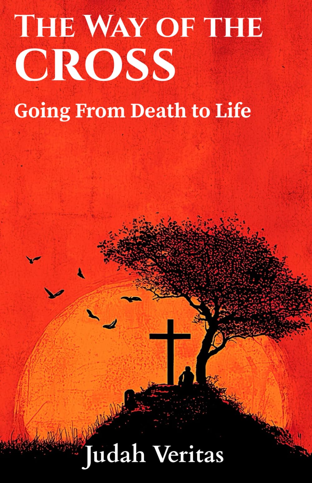 The Way of the Cross: Going From Death to Life