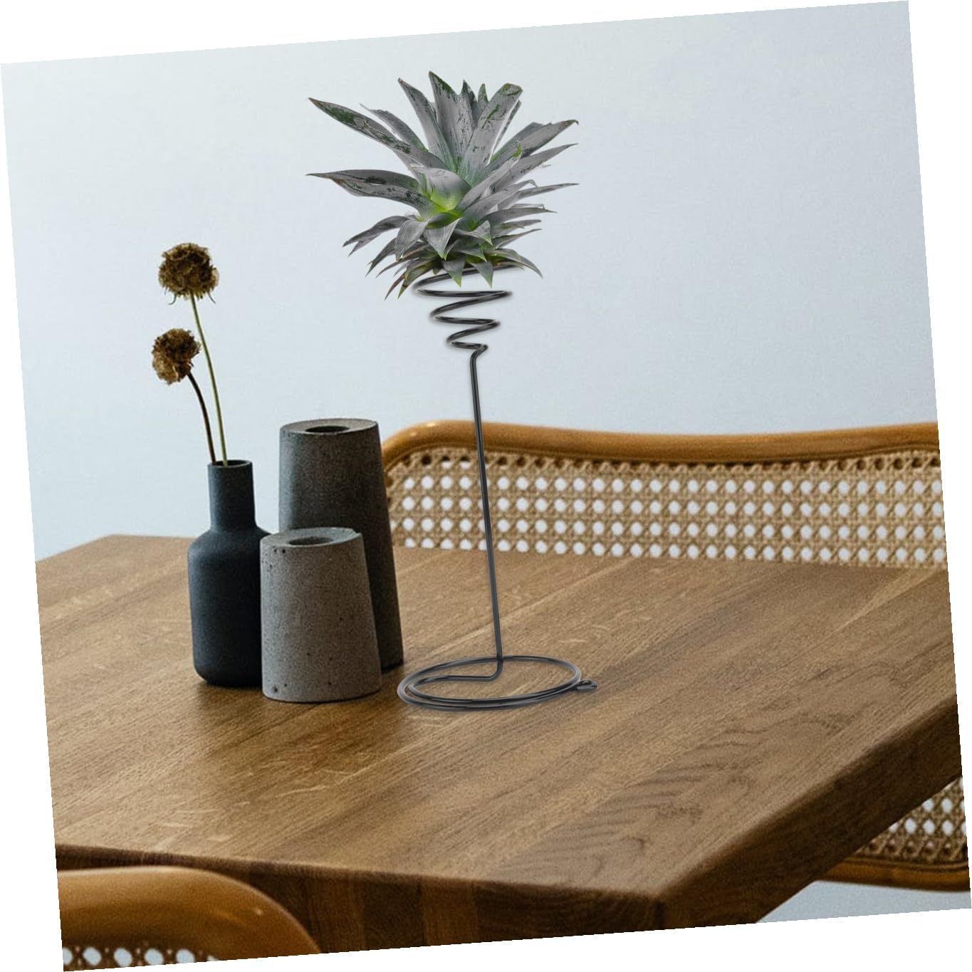 Mipcase 3Pcs Spiral Flower Stand Set for Air Plants Indoor Plant Display Rack Decorative Plant Holder for Home Office Garden