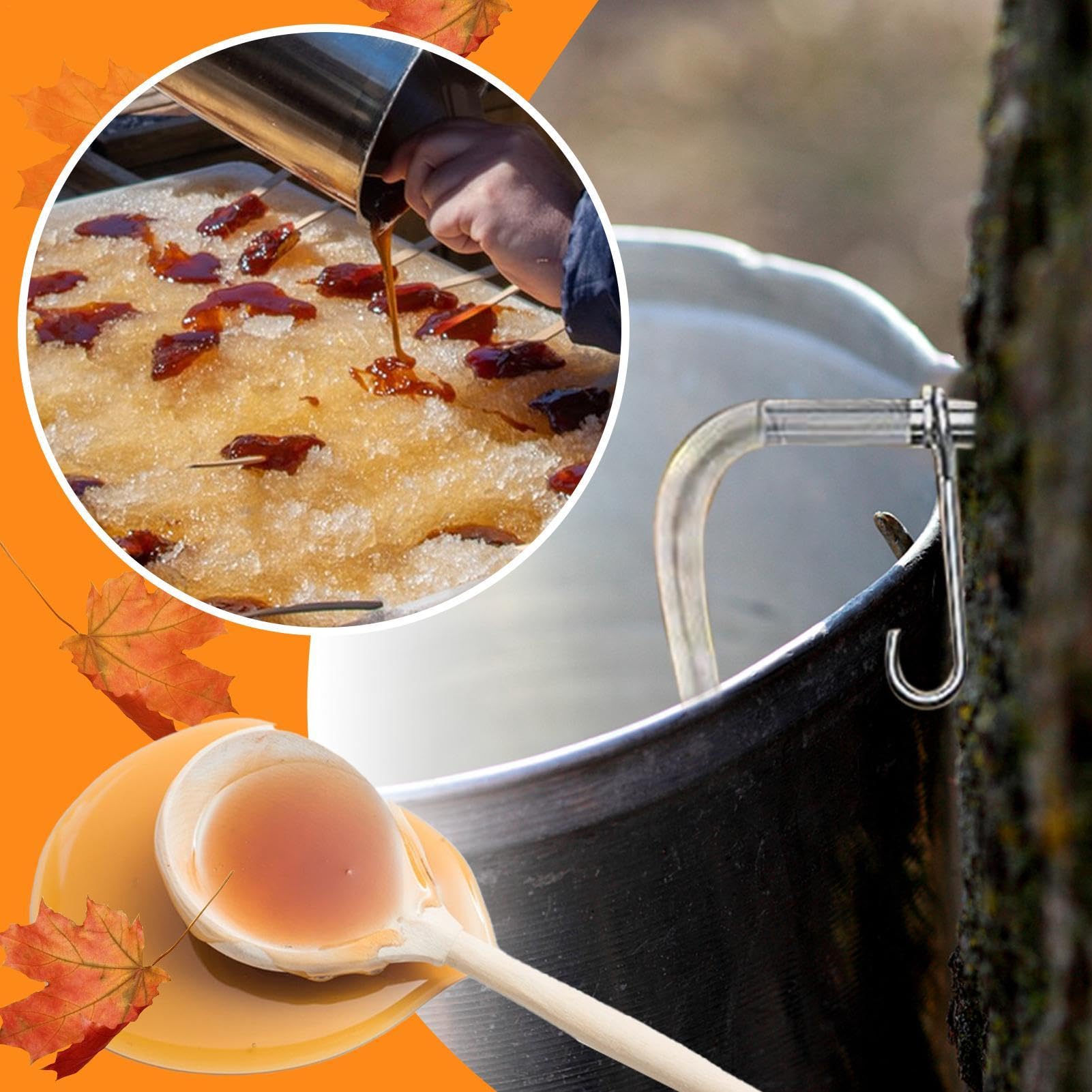 Robinet de pommetière en érable - Robinets de sirop d'érable - Crochets pour seau à jus d'érable - Fournitures sûres et économes en énergie - Ensemble de pommes de pin liquide pour récolte de jus