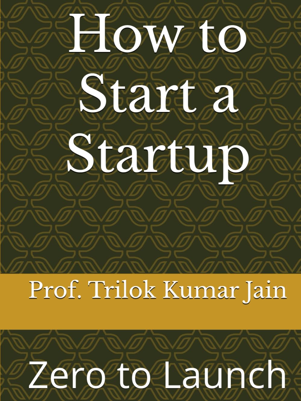 How to Start a Startup: Zero to Launch (Business Management and Entrepreneurship)