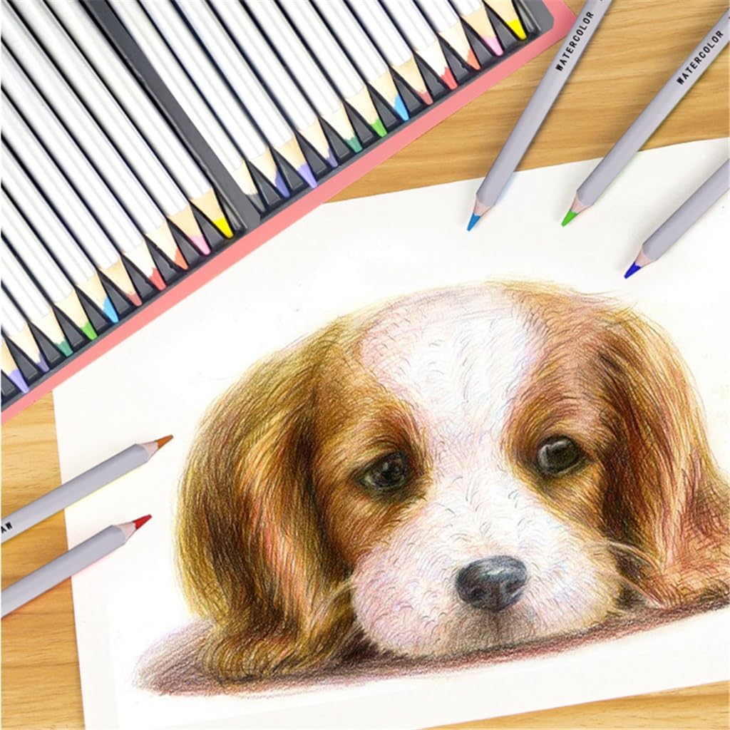 Colourful Iron Box Log Pencils Water Soluble Coloured Drawing Set Doodle Colouring