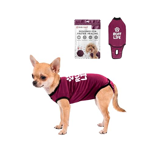 BellyGuard Traje de recuperación de cirugía para Perros, Traje de recuperación de Perros para Mujeres y machos