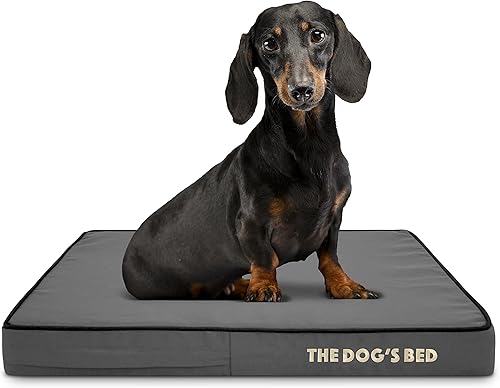 Miniatura 74 de The Dog's Bed - Cama ortopédica de espuma viscoelástica para perro, grande gris y negro, impermeable, cama de apoyo con fundas reemplazables, negro