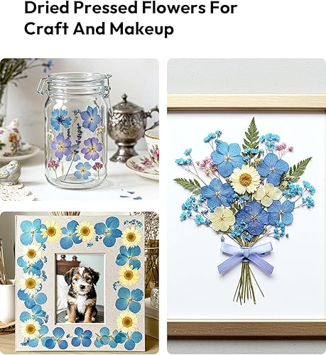 Vista 137 de Resiners - Flores secas, 100 piezas de flores prensadas para manualidades, color amarillo, flores secas naturales, kit de hojas secas
