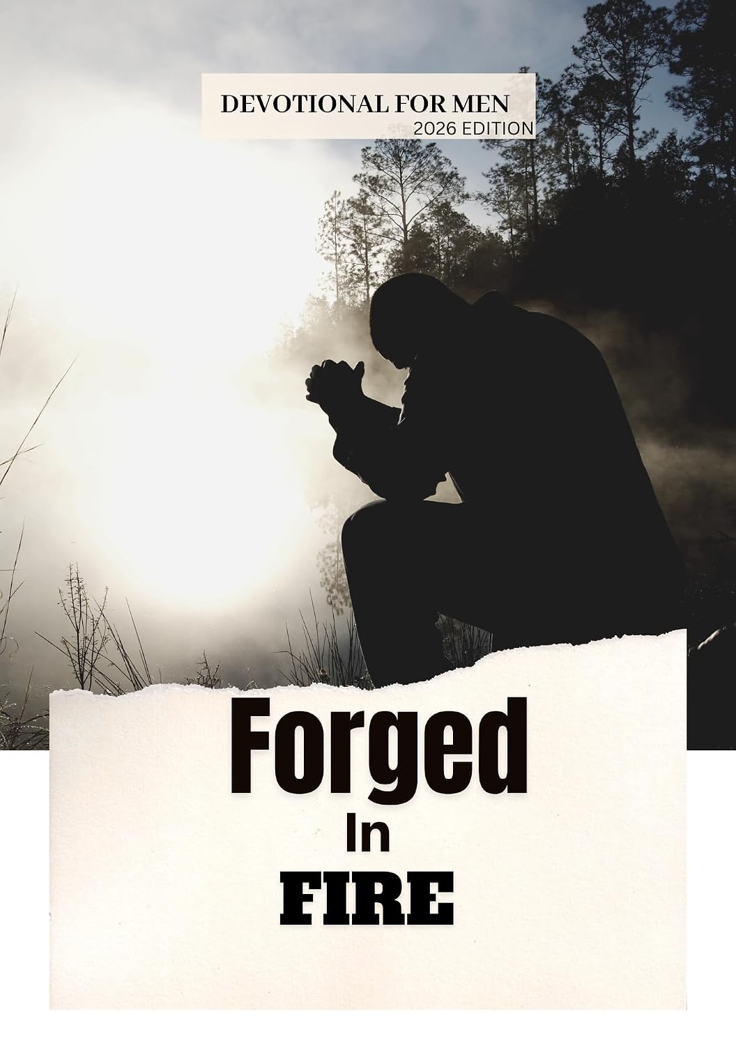 Forged in Fire: 365 Days of Devotion for Men Pursuing Courage, Discipline, Faith, and Victory Through Christ (2026 Edition) (Anchored in Christ Devotionals)