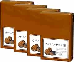 カバノアナタケ「チャーガ」5キロ‼️ カバノアナタケ「チャーガ」5キロ‼️ カバノアナタケ茶