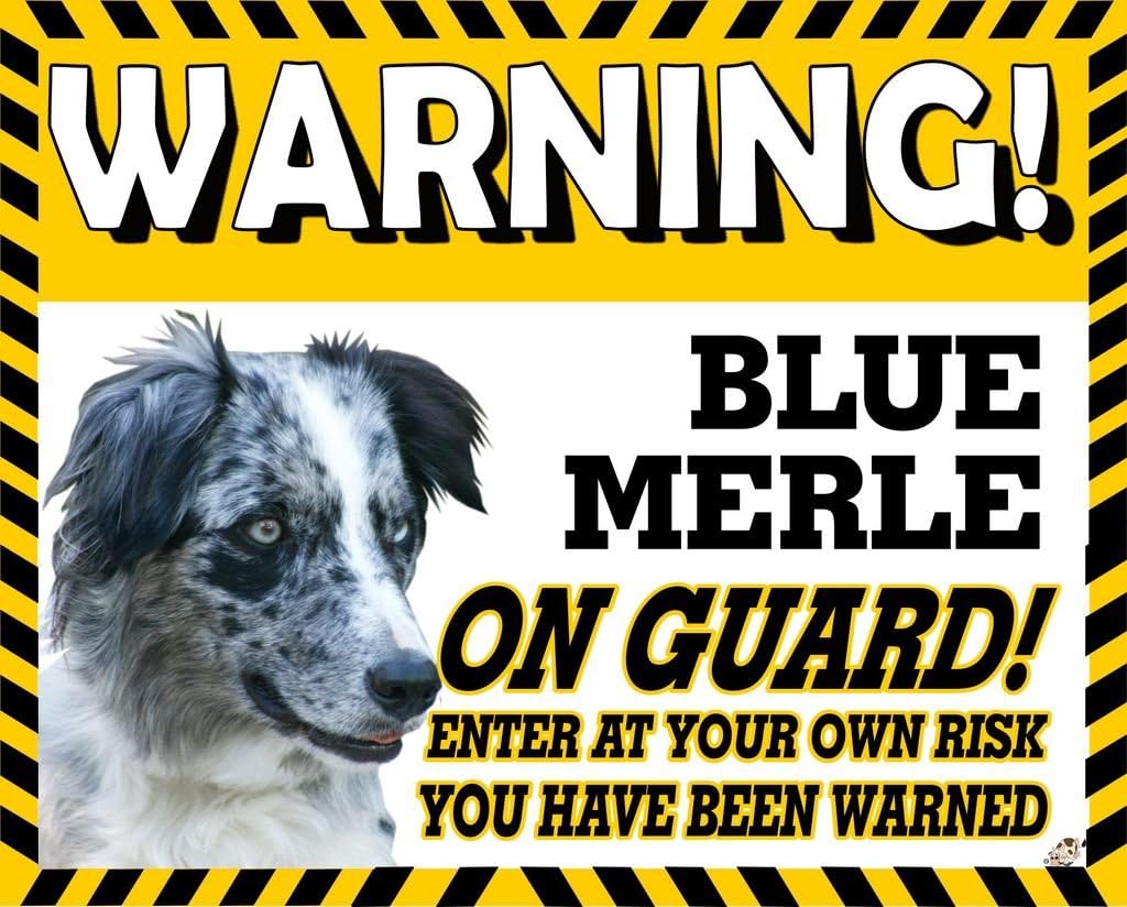 The Lazy Cow Border Collie Blue Merle YELLOW WARNING DOG METAL SIGN 34