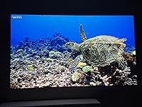 Review Image by dhaval dhaval