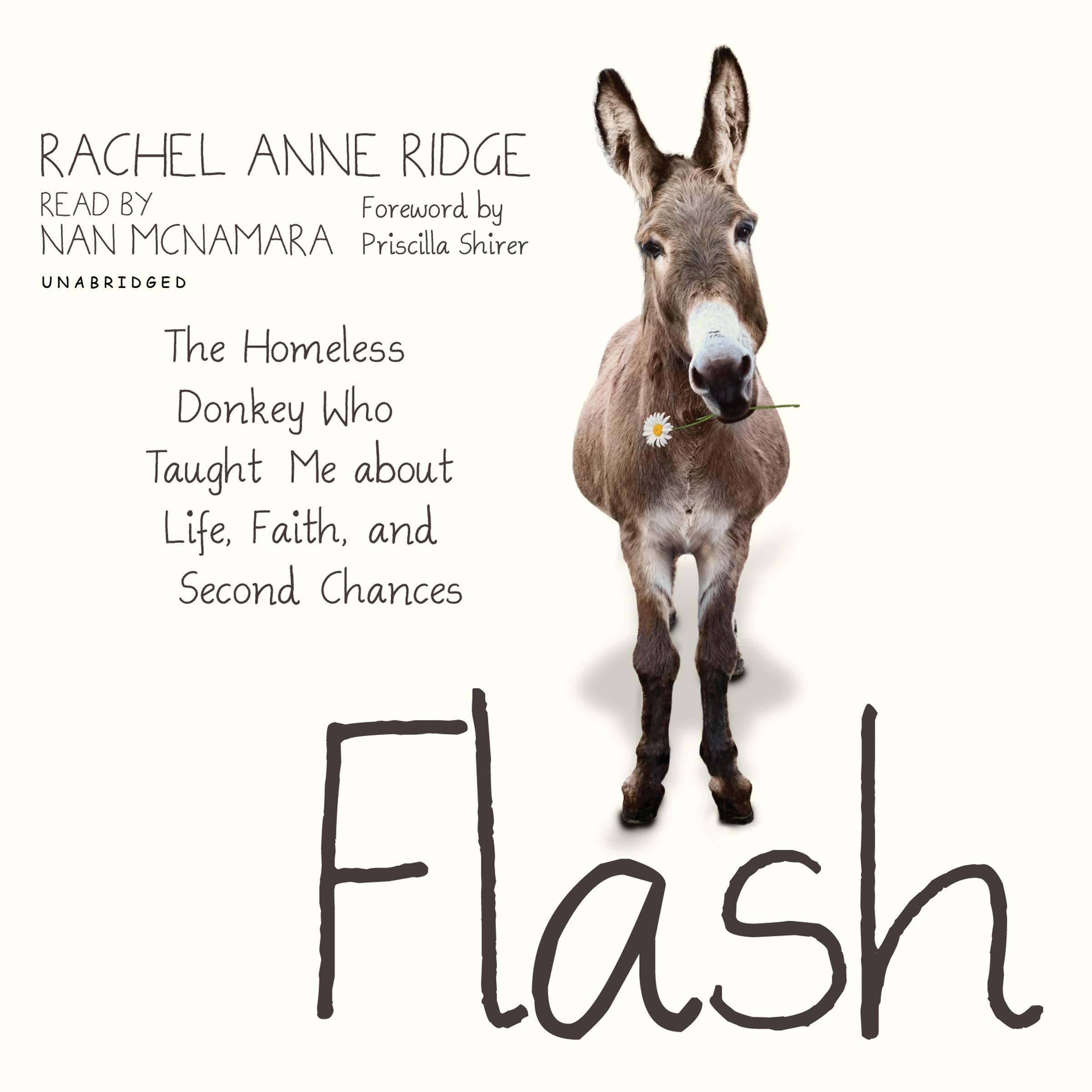 Christianaudio Flash: The Homeless Donkey Who Taught Me about Life, Fait