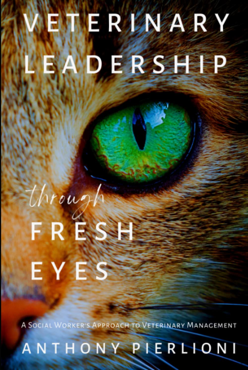 Veterinary Leadership Through Fresh Eyes: A Social Worker's Approach to Veterinary Management