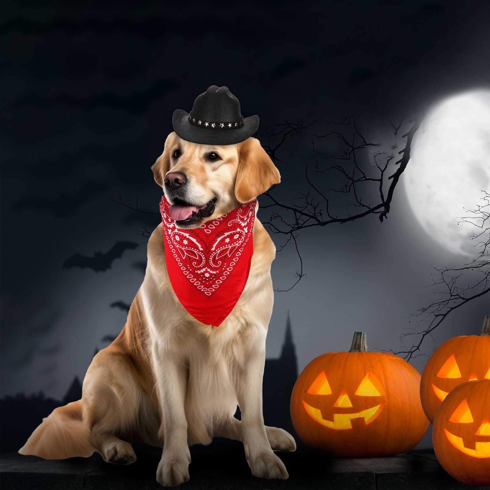 PEUTIER Kostium kowboja, psa i kota, kostium na Halloween, akcesoria dla małych zwierząt domowych (czarny, czerwony)