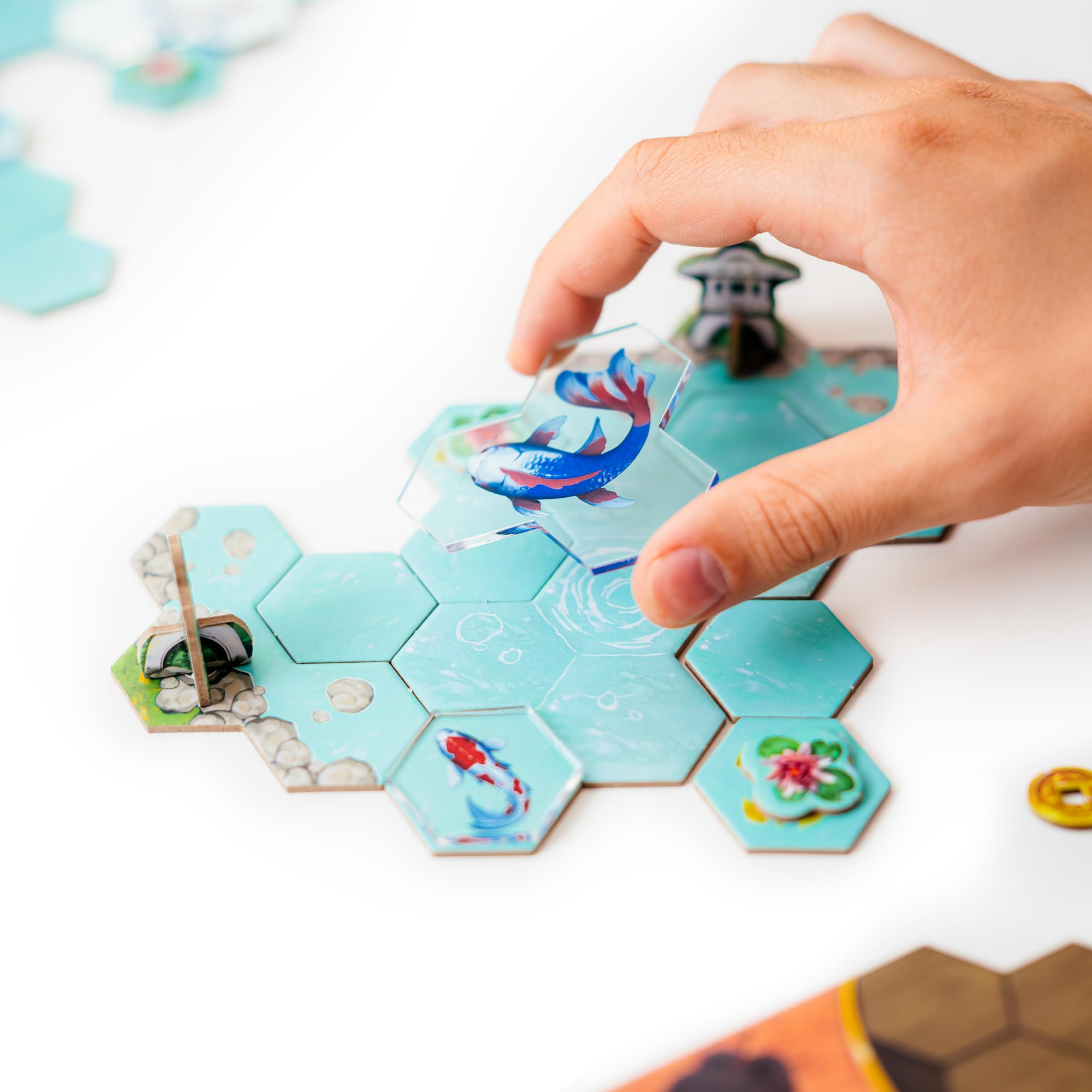 Merchandising Dv Giochi: Koi