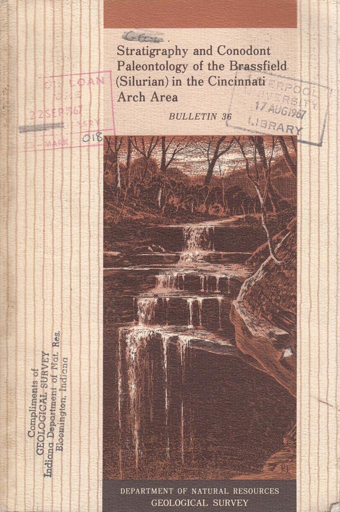 Stratigraphy and conodont paleontology of the Brassfield (Silurian) in