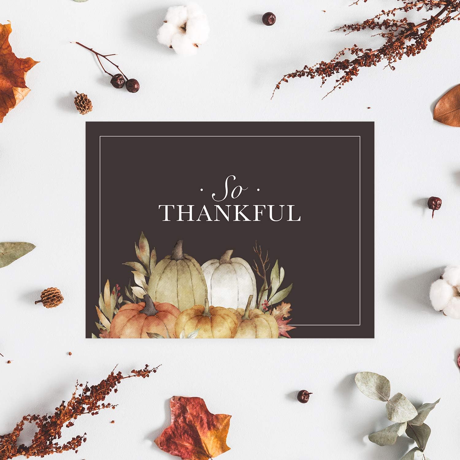 Canopy Street Traditional Thanksgiving Card Set / 24 Watercolor Autumn Note Cards / 4 5/8" x 6 1/4" Classic Fall Greeting Cards / 6 Leaves And Pumpkins Designs