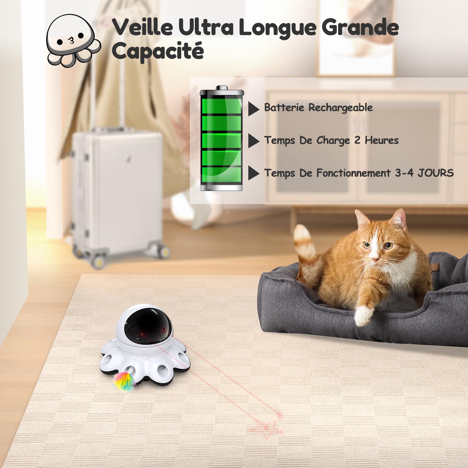 GoldenSun Jouet pour chat automatique 2 en 1, 8 trous Whack-a-Mole et mouvement aléatoire à 360°, rechargeable par USB, jouet interactif pour chats d'appartement ennuyés