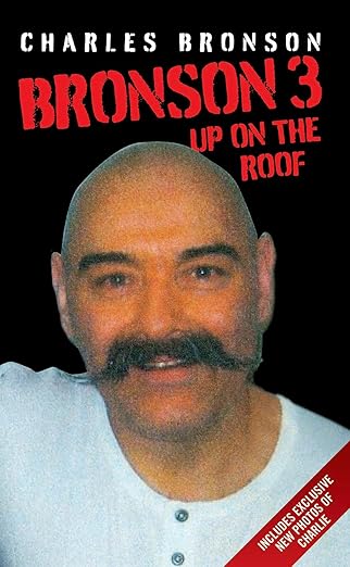 Bronson 3: Up on the Roof Bronson 3: Up on the Roof book cover