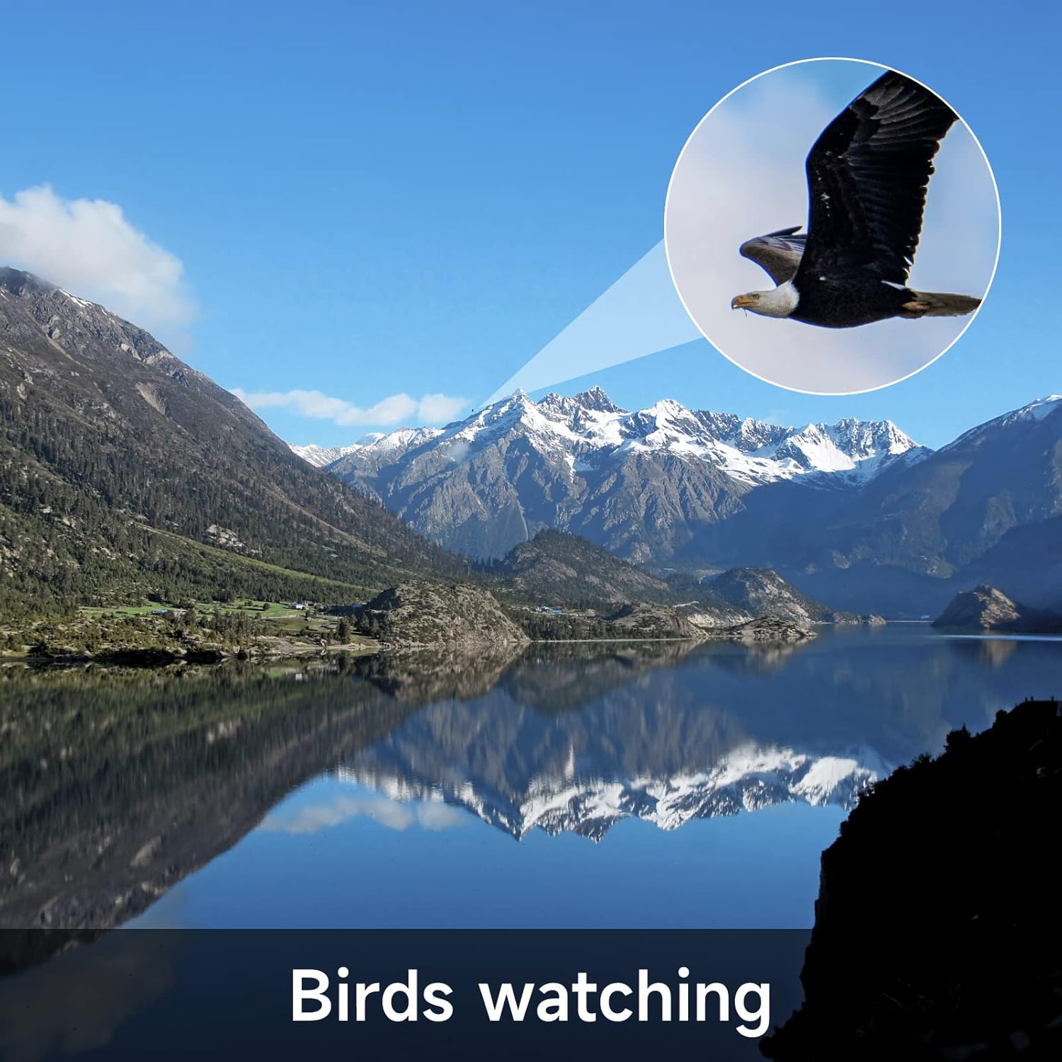 Image depicting a bird in flight, zoomed in through the telescope, against a backdrop of mountains and a lake, illustrating its use for bird watching.