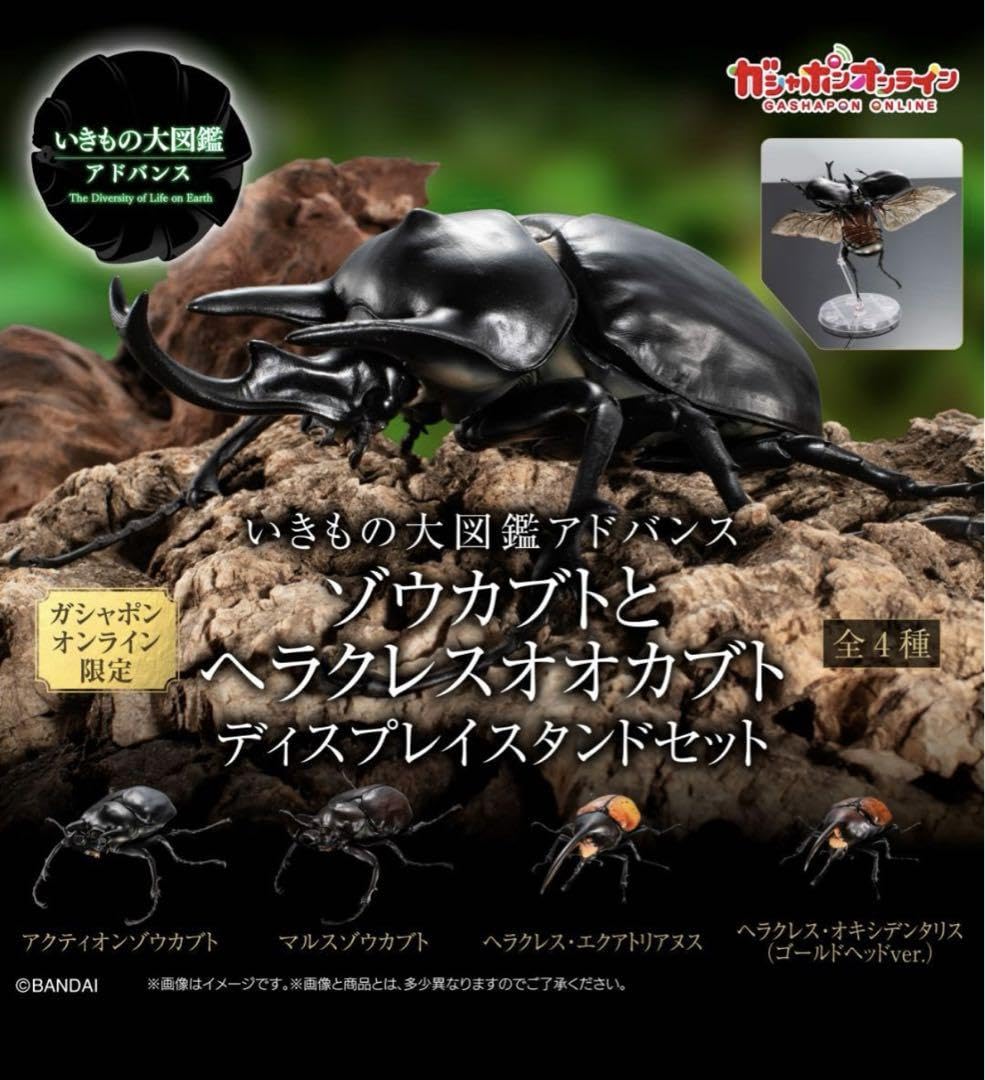 いきもの大図鑑アドバンス ヘラクレスオオカブト 甲虫王者ムシキング オンライン版 Amazon.co.jp: いきもの大図鑑アドバンス ゾウカブトと