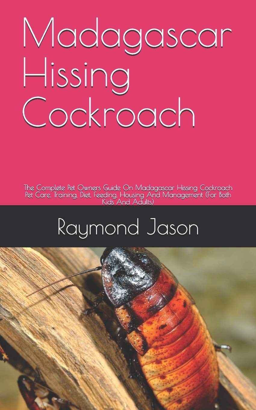 Buy Madacar Hissing Cockroach The Complete Guide On Madacar hissing