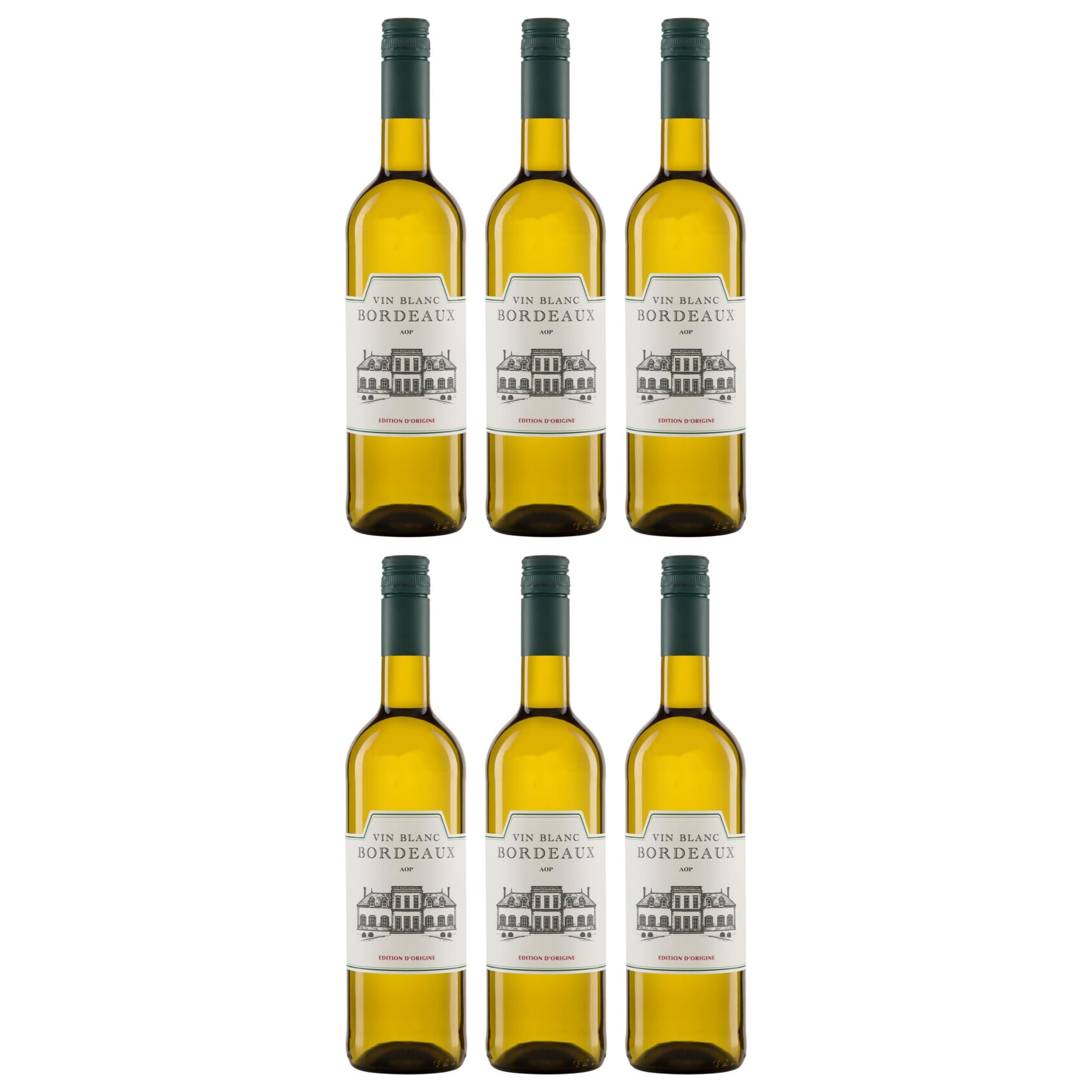 Vinerum Kellerei Radolfzell Bordeaux Blanc AOP ÉDITION D'ORIGINE Weisswein Weiss Trocken BIO Frankreich inkl. FeinWert E-Book (6 x 0.75 l)