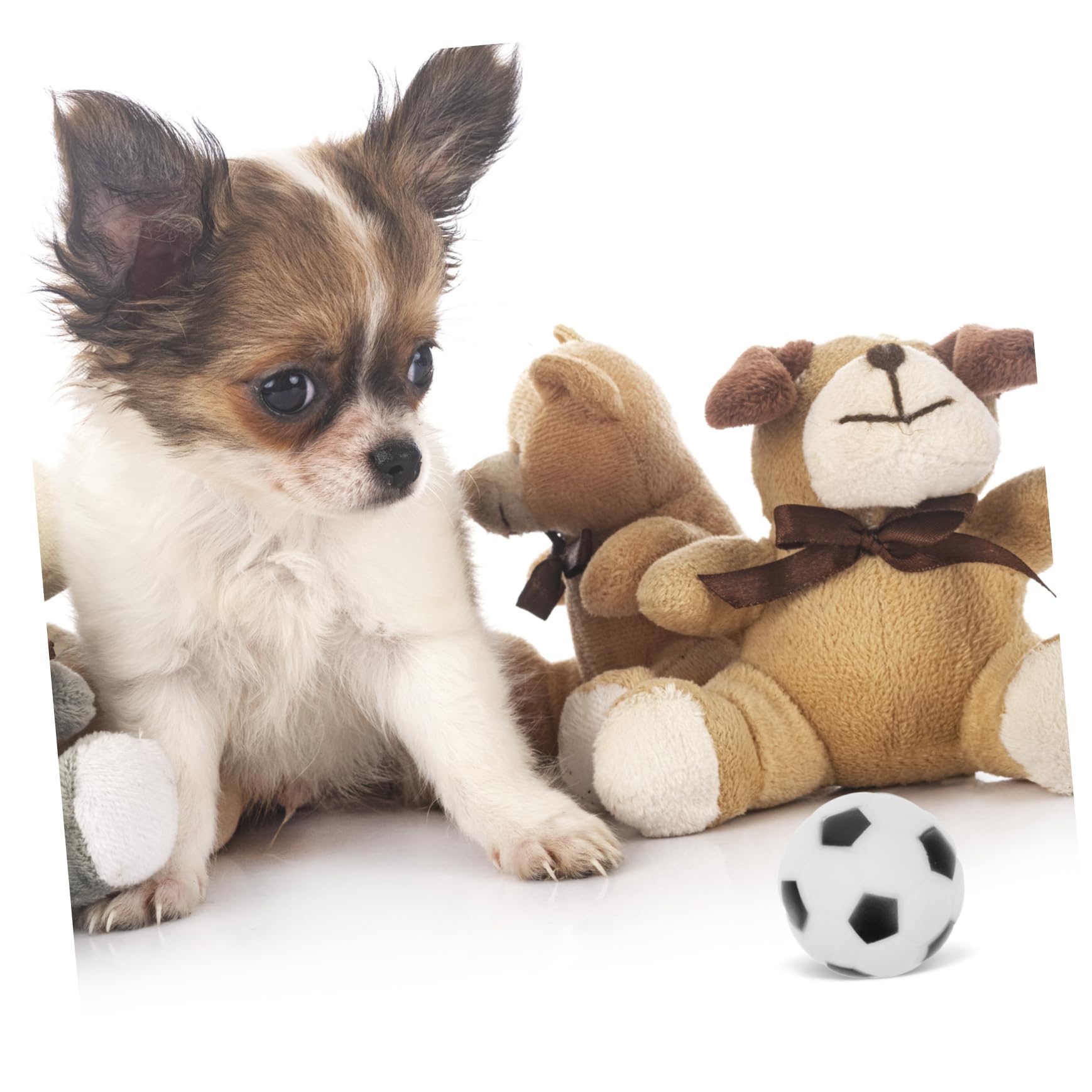 Kisangel 20 Piezas Pelota de Juguete para Perros Cachorro Juguetes interactivos Juguete Interactivo para Masticar Dog Toys Animales Juguetes mordedura de Juguete para Mascotas Caucho